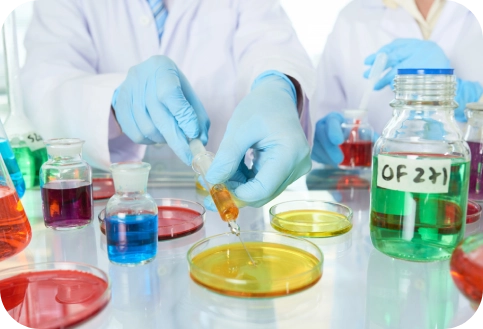 Food Chemicals